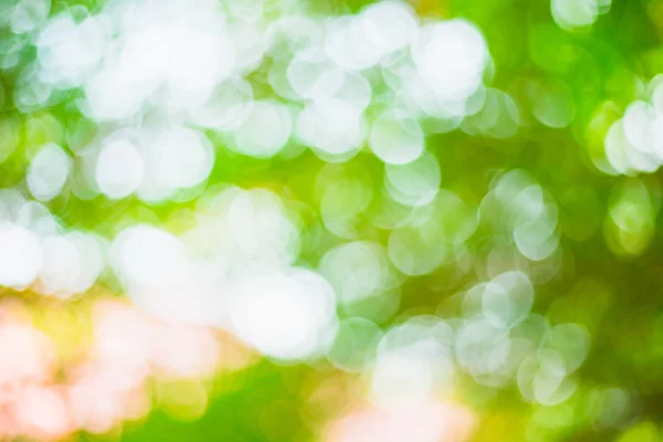 추상 흐린된 녹색 bokeh 나뭇잎 배경 및 텍스처 — 스톡 사진