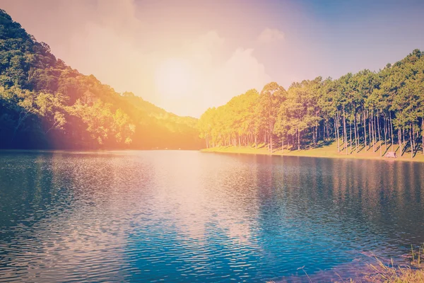 Acqua di laghetto e alba con effetto vintage . — Foto Stock