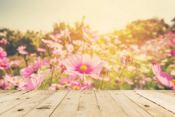 抽象的なぼやけたコスモス フィールド花とビンテージ日光 — ストック写真