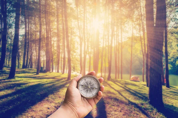 Ręką człowieka gospodarstwa kompas o lasu modrzew z światło słoneczne — Zdjęcie stockowe