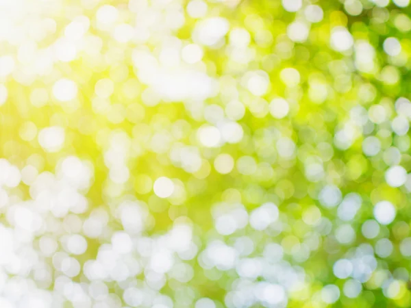 ボケ味緑空間と自然な背景の光 — ストック写真