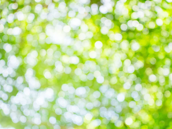 Зеленый боке свет для естественного фона с пространством — стоковое фото