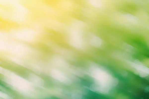 Defokussierte Unschärfe Hintergrund Von Gartenbäumen Sonnenlicht — Stockfoto