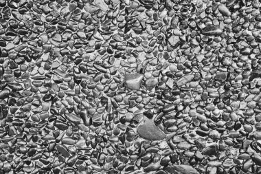 Çok eski gri doğal taş duvar arkaplan dokusu