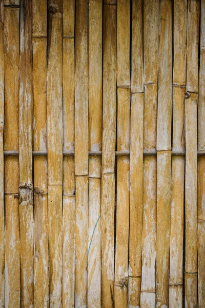 Vecchio recinto di bambù sfondo e texture — Foto Stock