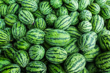 Birçok yeşil tatlı karpuz grubu