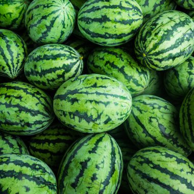 Birçok yeşil tatlı karpuz grubu