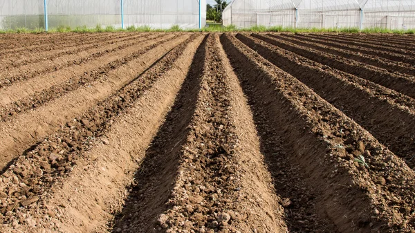 Preparação do solo para sementeira de hortaliças na agricultura de campo. — Fotografia de Stock