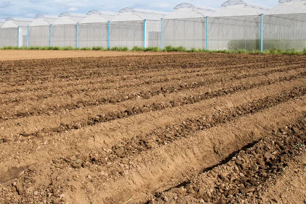 Preparazione del suolo per la semina di ortaggi in campo agricolo. — Foto Stock