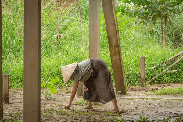 Woman farmer on filed in vangvieng, laos. — Stock Photo, Image