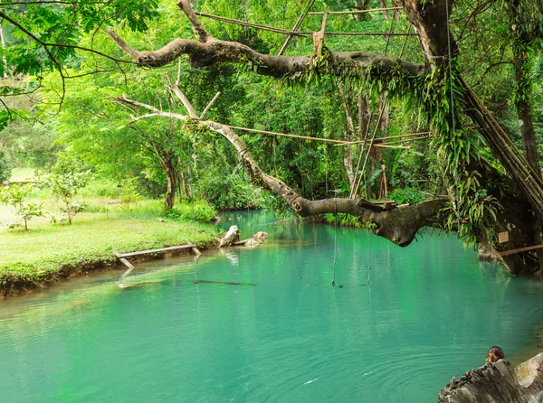 Blue lagoon, Vang vieng, Laos — Stock Photo, Image