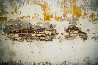 Grunge çimento çatlak duvar arka plan ve doku