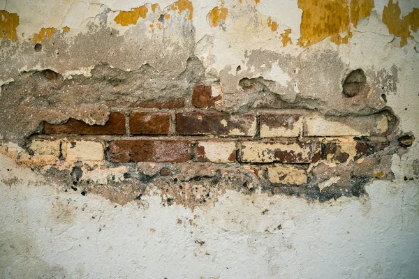 Grunge cement crack wall background and texture — Stock Photo, Image
