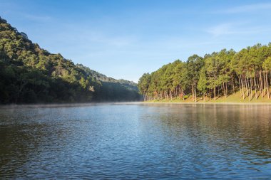 Pang Ung Ormancılık tarlaları kış, Maehongson, Kuzey Th