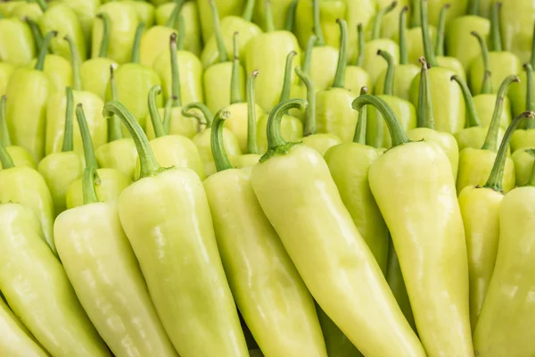 Cerrar grupo de pimiento verde . — Foto de Stock