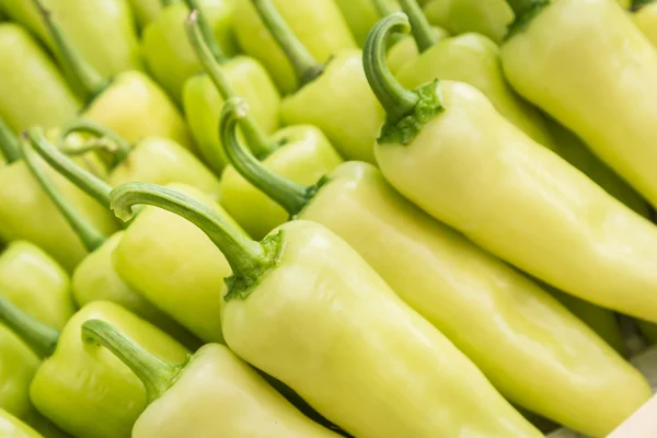 Cerrar grupo de pimiento verde . — Foto de Stock