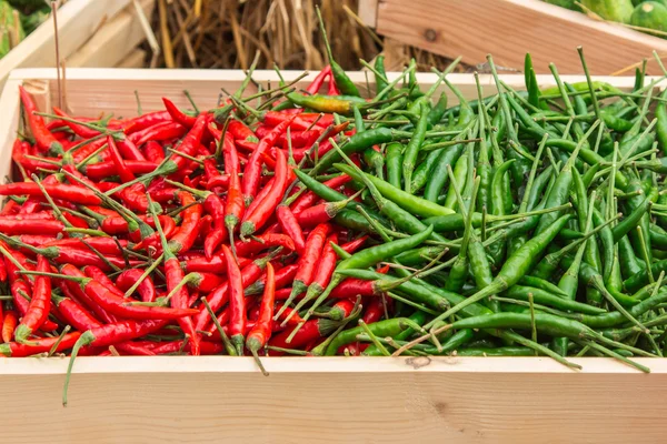 Pimenta vermelha e pimenta verde na prateleira no mercado . — Fotografia de Stock