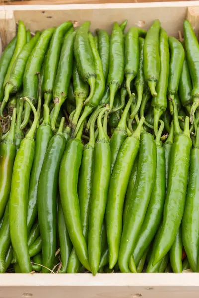 Pimiento verde en el estante en el mercado . — Foto de Stock