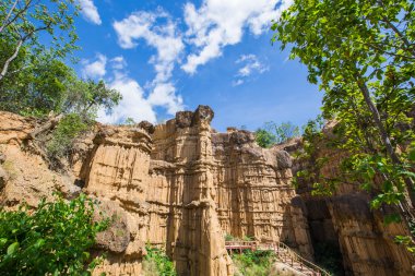 Phachor Mae Wang Milli Parkı Chiang Mai, Tayland