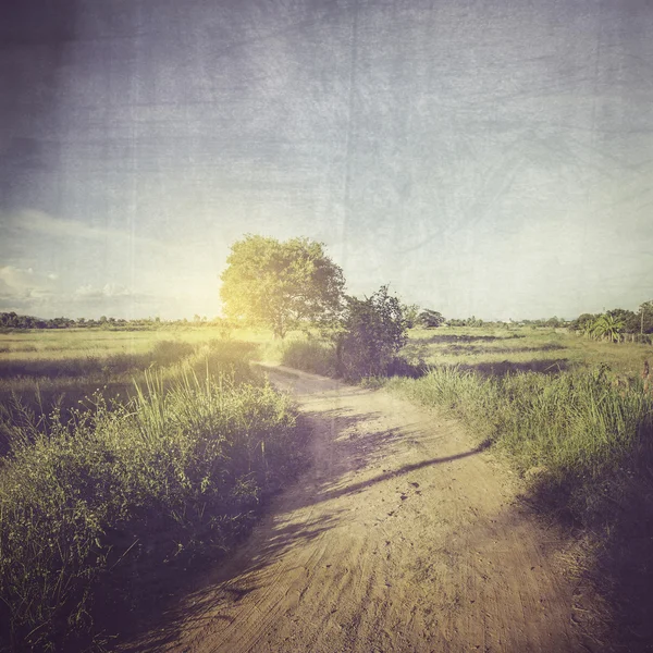 Vintage foto de estrada no campo e campo com luz solar . — Fotografia de Stock