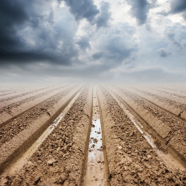 Bodenbearbeitung auf Feld und Regenwolken — Stockfoto