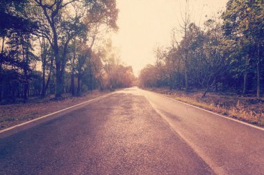 Country road and field vintage