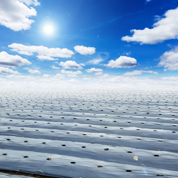 Field agriculture mulching film protect and blue sky with sun — Stock Photo, Image