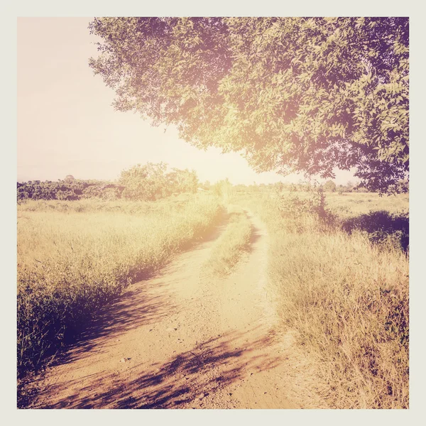 Campo vintage en el campo con la luz del sol —  Fotos de Stock