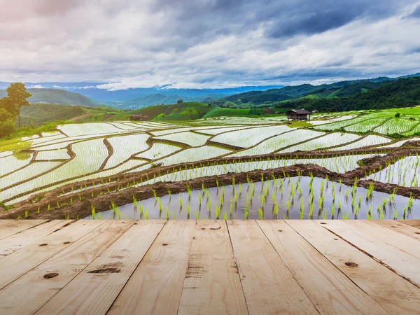 Tavolo in legno e riso verde in chiang mai, Thailandia . — Foto Stock