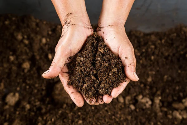 Close up hand holding soil peat moss — Stock Photo, Image