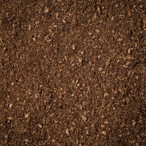 Close up soil peat moss dirty background and texture — Stock Photo, Image