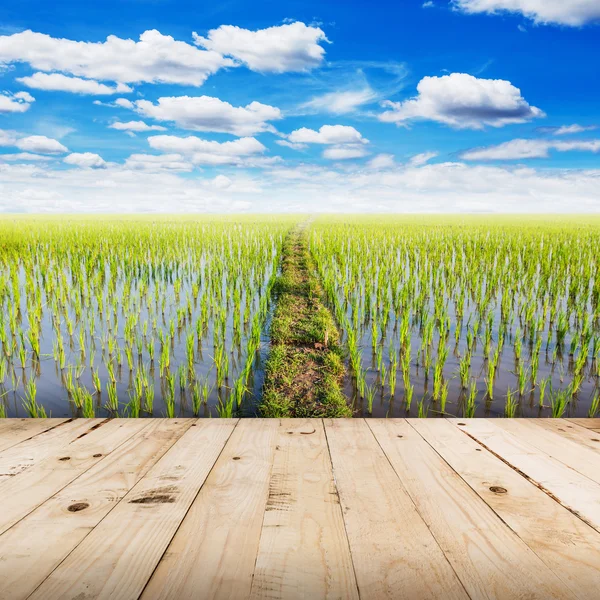 Деревянный стол и полевой рис с голубыми небесными облаками — стоковое фото