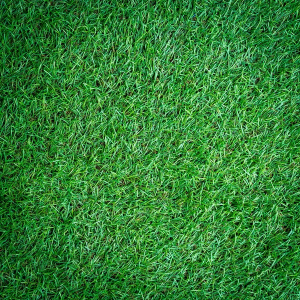 Césped artificial hierba fondo y textura —  Fotos de Stock