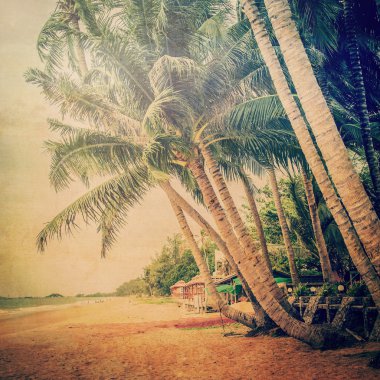 coconut palm tree on sand beach with vintage tone.