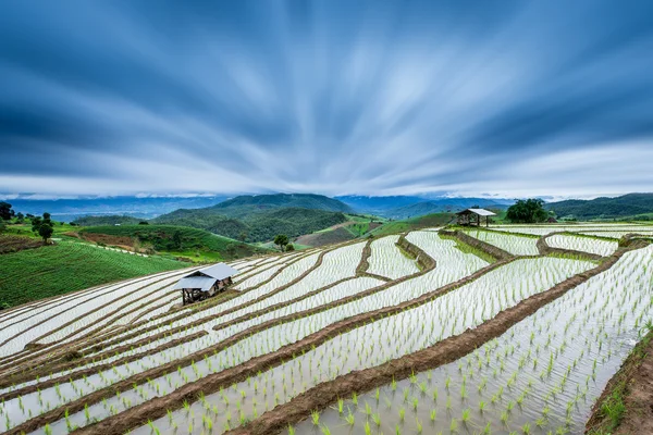 Campo Paddy terrazzato nel Mae-Jam Village, provincia di Chaingmai, T — Foto Stock