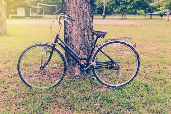 Vintage bicycle in garden with tree — Stock Photo, Image