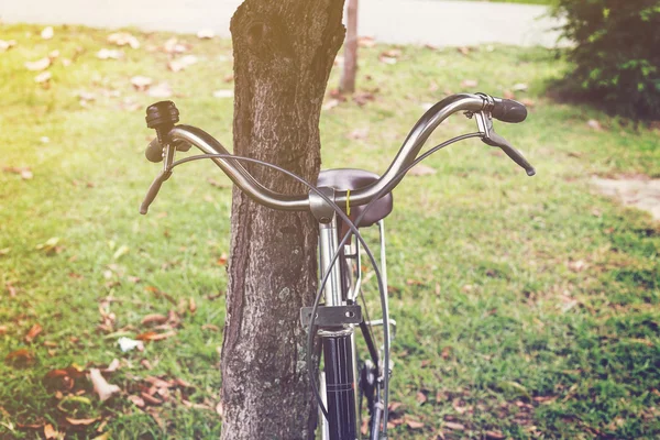 Ročník cyklo a strom v zahradě — Stock fotografie