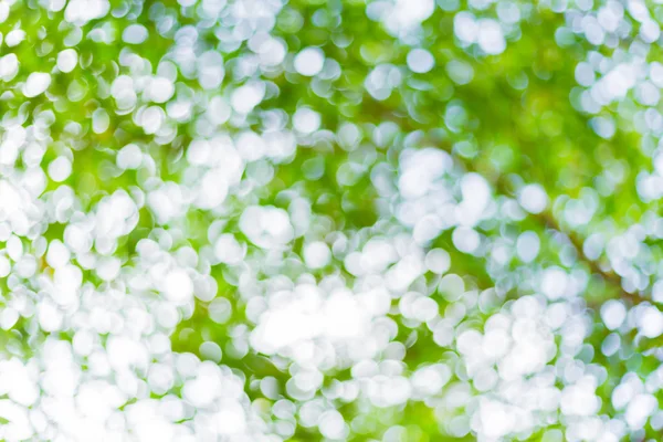 Zelená listová bokeh rozmazané pozadí přírody — Stock fotografie