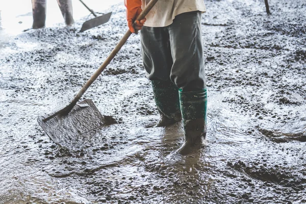 Arbeiter verteilen frisch gegossenen Betonmix auf Gebäude — Stockfoto