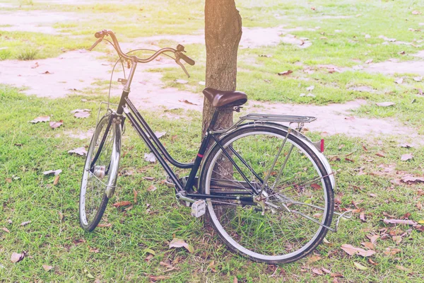 Винтажный велосипед в саду с солнечным светом — стоковое фото