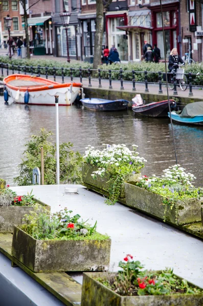 Amsterdam canal with flowers — Stock Photo, Image