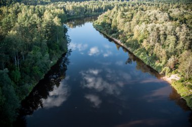 nehir ve forrest havadan görünümü