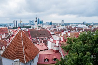 Tallinn, Estonya, Avrupa
