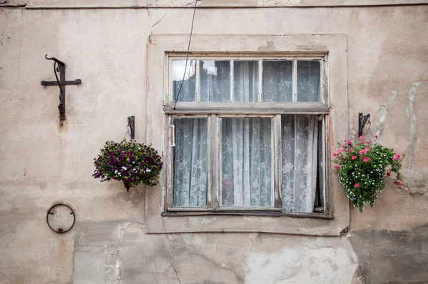 Vintage old window with flowers — Stock Photo, Image