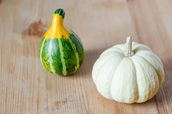 Klein schattig pompoenen — Stockfoto