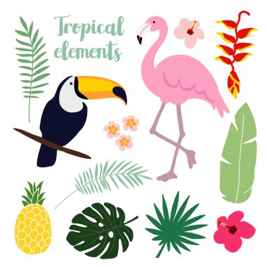 Yaz tropikal öğeleri. Toucan ve flamingo kuşu. Orman çiçek illüstrasyonlar, palmiye yaprakları, vektörel çizimler