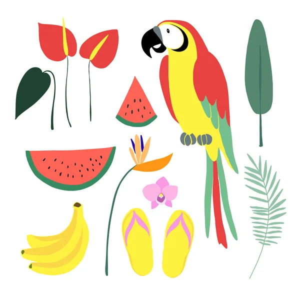 Elementi grafici tropicali estivi. Uccello pappagallo. Illustrazioni floreali giungla, foglie di palma, orchidea, fiore, anguria, frutti di banana — Vettoriale Stock