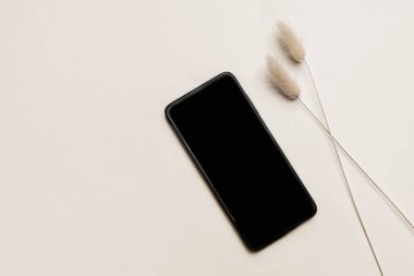 Modern elektronik cihaz hala hayat dolu. Siyah cep telefonu, tavşancık kuyruklu Lagurus ovatus 'la aynı model. Güneş ışığında bej masa arkaplanı. Düz yerde, üst tarafta. Yaz ya da sonbahar sahnesi.
