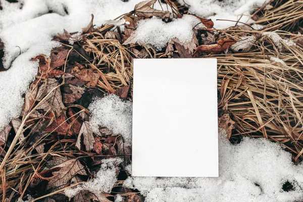 Winter stationery mockup scene. Closeup of blank greeting card, invitation on frozen ground. Dry grass and autumn leaves with snow. Outdoor, branding concept. Flat lay, top view. Selective focus. — Stock Photo, Image