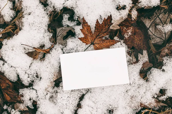 Moody χειμώνα στυλ Στοκ φωτογραφία. Closeup των κενών επαγγελματική κάρτα mock-up σε παγωμένο έδαφος με ξηρά φύλλα σφενδάμου και χιόνι. Εξωτερική έννοια, branding. Επίπεδη θέα. Επιλεκτική εστίαση. — Φωτογραφία Αρχείου